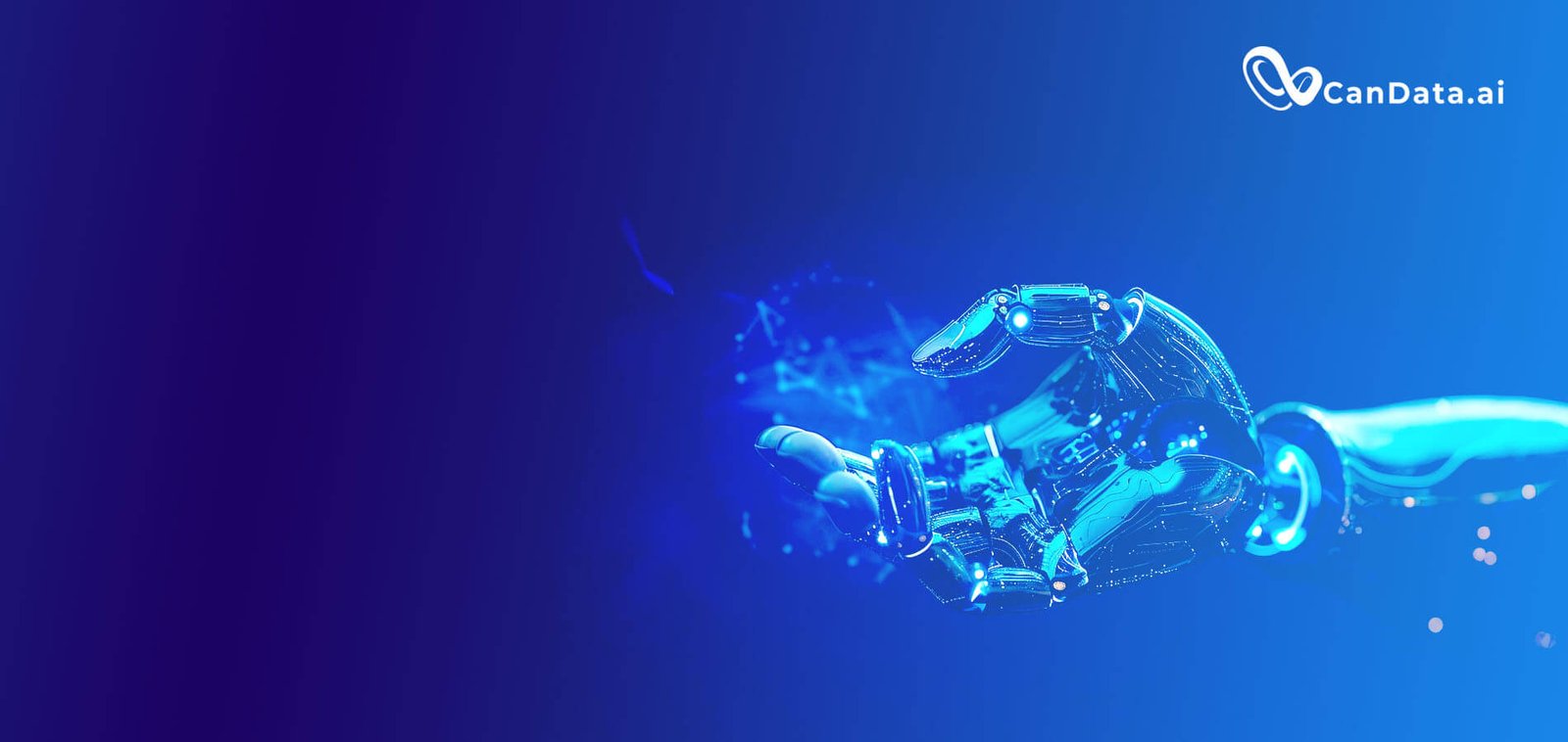 Machine Learning Operations for Salable AI